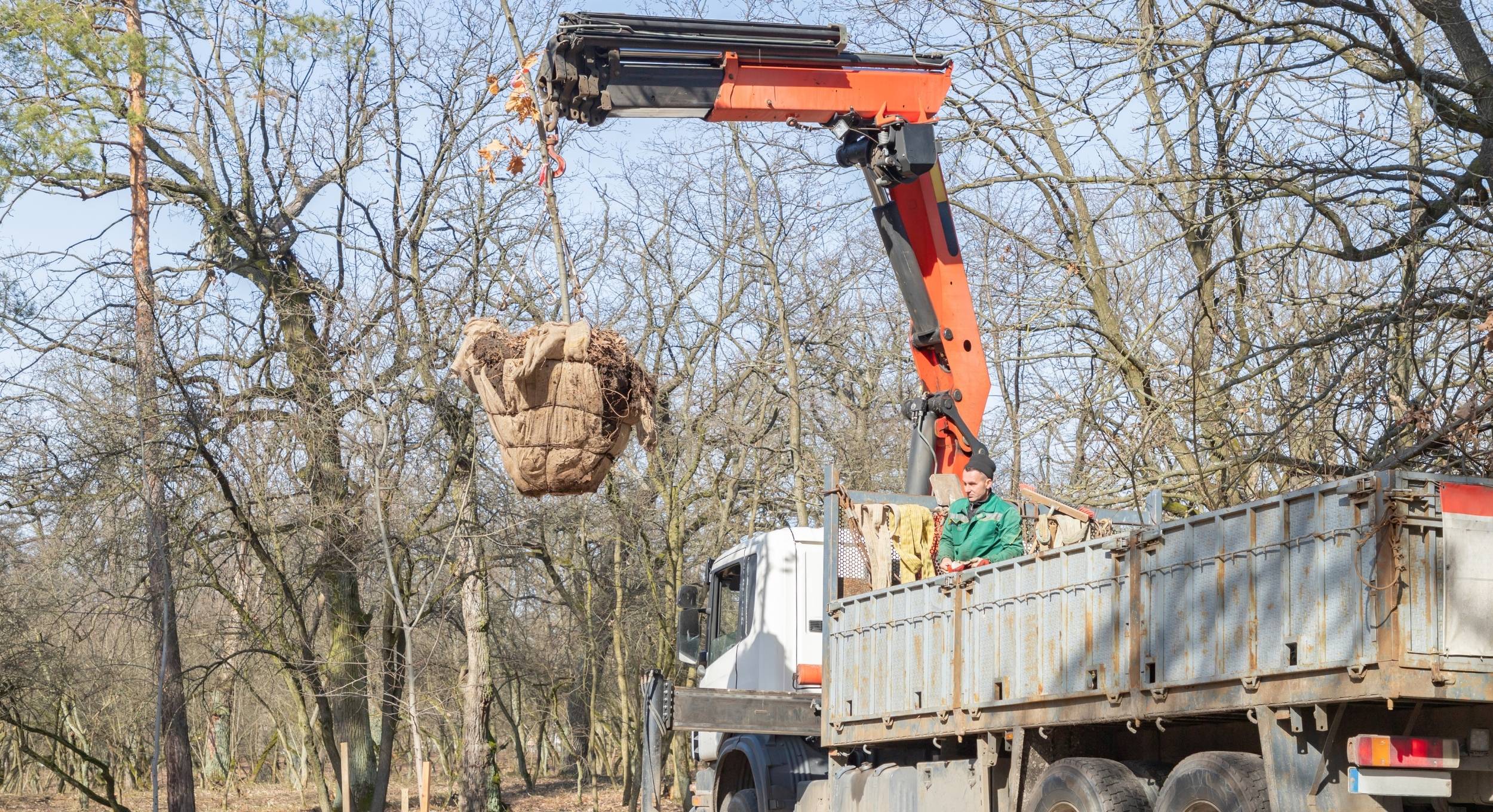 caces r490 grues de chargement